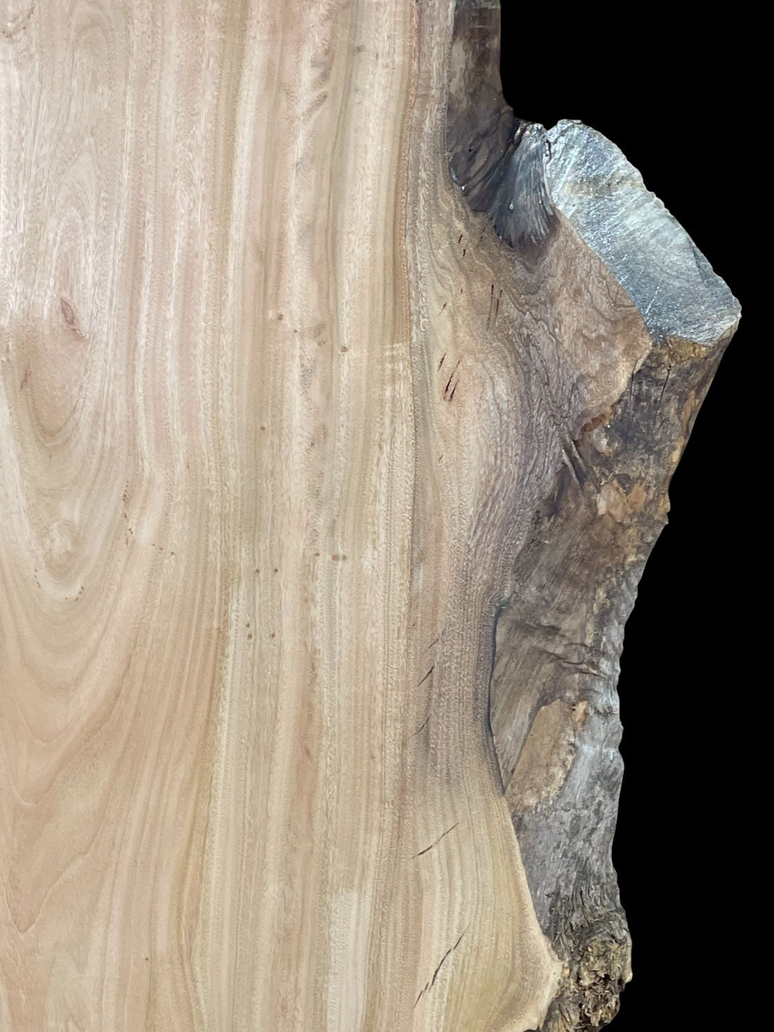 楠　C740　一枚板　乾燥材　棚板　カウンター　テーブル　DIY　耳付　天板　◆全国都道府県送料無料◆