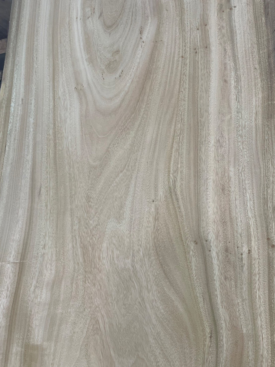 楠　C740　一枚板　乾燥材　棚板　カウンター　テーブル　DIY　耳付　天板　◆全国都道府県送料無料◆