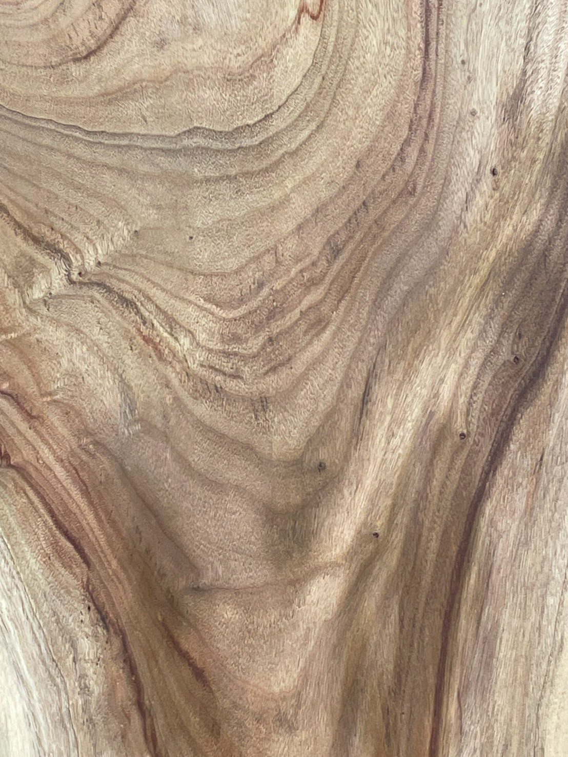 楠　C130　一枚板　乾燥材　棚板　カウンター　テーブル　DIY　耳付　天板　◆全国都道府県送料無料◆