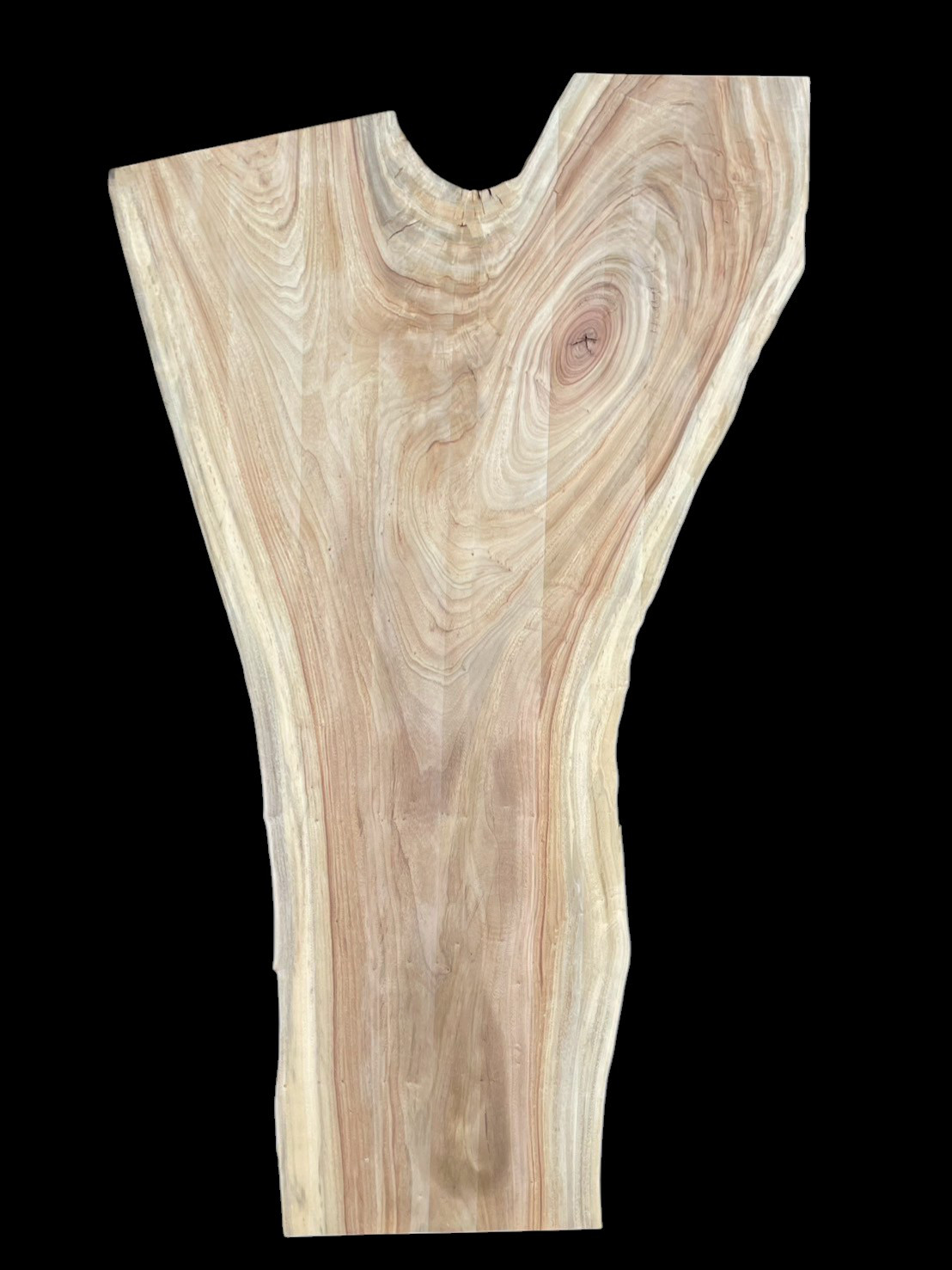 楠　C130　一枚板　乾燥材　棚板　カウンター　テーブル　DIY　耳付　天板　◆全国都道府県送料無料◆