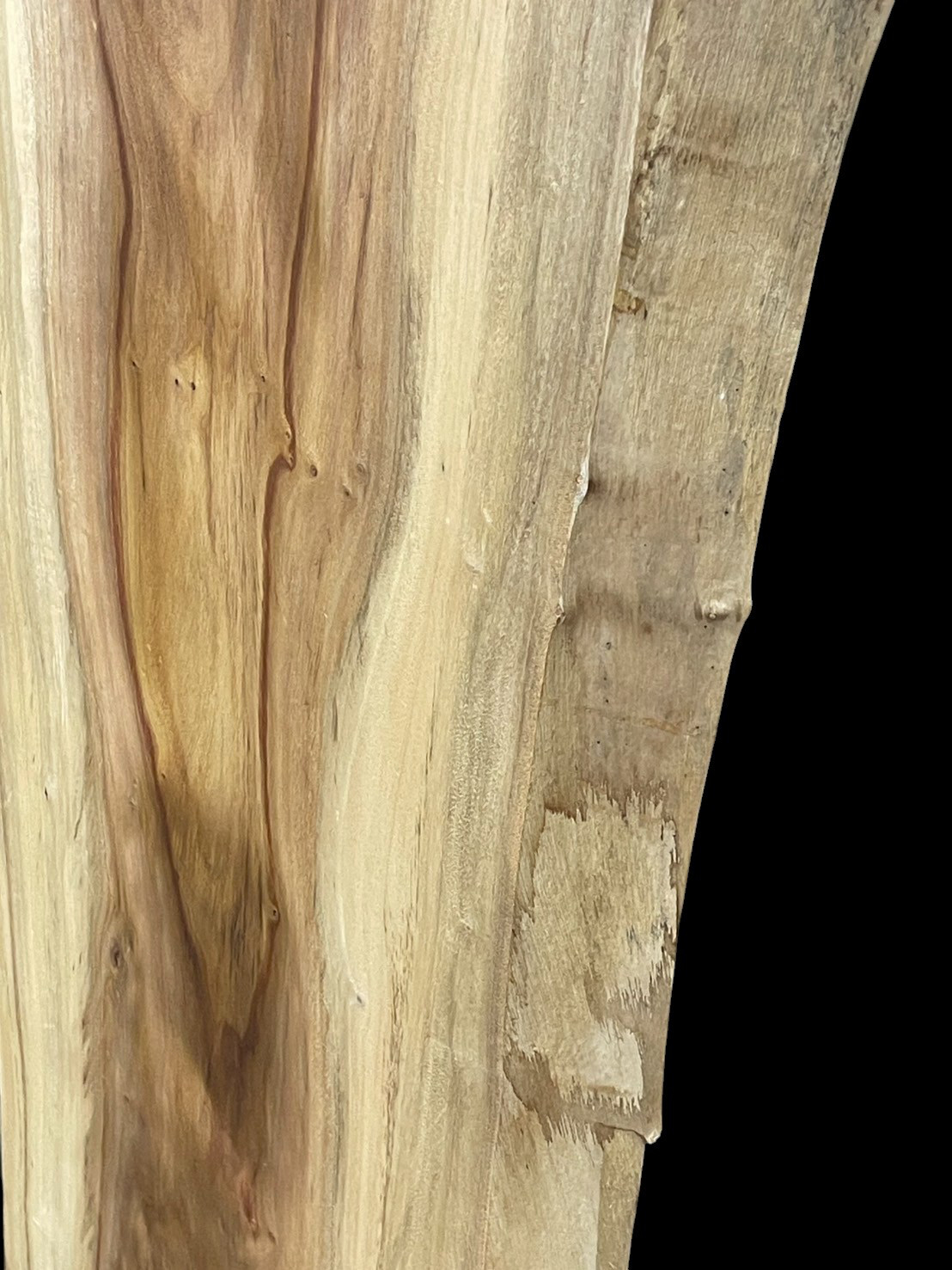 楠　C130　一枚板　乾燥材　棚板　カウンター　テーブル　DIY　耳付　天板　◆全国都道府県送料無料◆