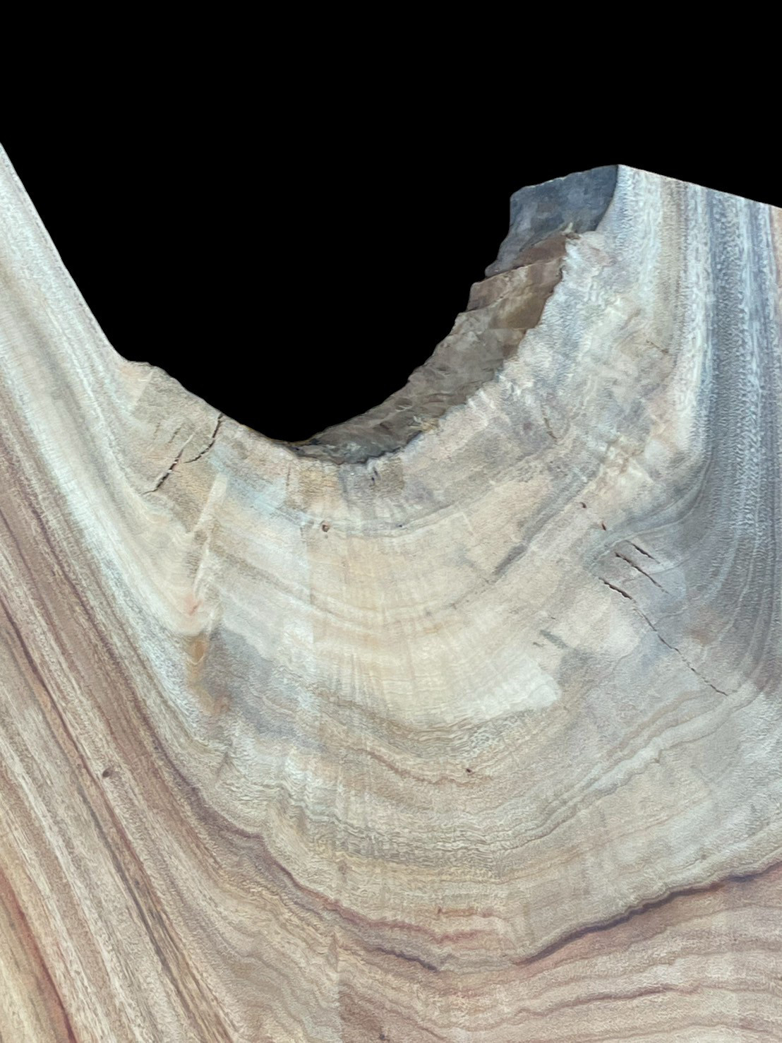 楠　C130　一枚板　乾燥材　棚板　カウンター　テーブル　DIY　耳付　天板　◆全国都道府県送料無料◆