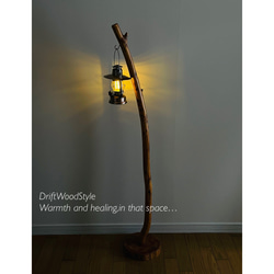 緩やかに曲線を描く大型サイズの流木スタンド ランタンやエアプラントを飾れる置物 北欧 照明 N12 11枚目の画像