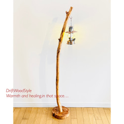 緩やかに曲線を描く大型サイズの流木スタンド ランタンやエアプラントを飾れる置物 北欧 照明 N12 1枚目の画像