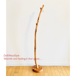 緩やかに曲線を描く大型サイズの流木スタンド ランタンやエアプラントを飾れる置物 北欧 照明 N12 13枚目の画像