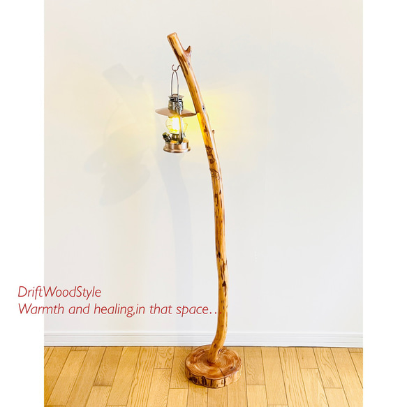 緩やかに曲線を描く大型サイズの流木スタンド ランタンやエアプラントを飾れる置物 北欧 照明 N12 10枚目の画像