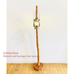 緩やかに曲線を描く大型サイズの流木スタンド ランタンやエアプラントを飾れる置物 北欧 照明 N12 7枚目の画像