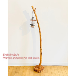 緩やかに曲線を描く大型サイズの流木スタンド ランタンやエアプラントを飾れる置物 北欧 照明 N12 12枚目の画像