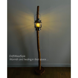 緩やかに曲線を描く大型サイズの流木スタンド ランタンやエアプラントを飾れる置物 北欧 照明 N12 8枚目の画像