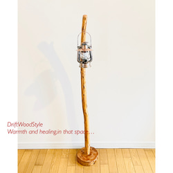 緩やかに曲線を描く大型サイズの流木スタンド ランタンやエアプラントを飾れる置物 北欧 照明 N12 9枚目の画像