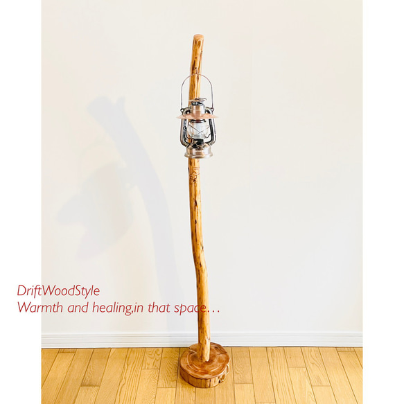 緩やかに曲線を描く大型サイズの流木スタンド ランタンやエアプラントを飾れる置物 北欧 照明 N12 9枚目の画像