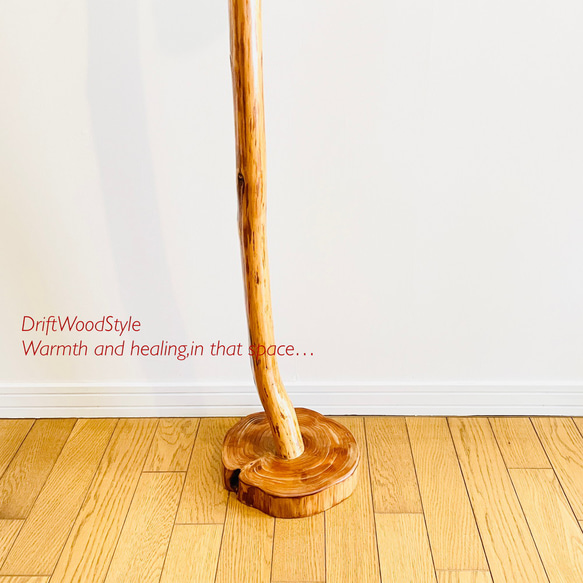 緩やかに曲線を描く大型サイズの流木スタンド ランタンやエアプラントを飾れる置物 北欧 照明 N12 6枚目の画像