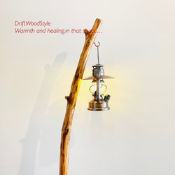 緩やかに曲線を描く大型サイズの流木スタンド ランタンやエアプラントを飾れる置物 北欧 照明 N12 5枚目の画像