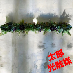 光触媒 人工観葉植物 ウォールグリーン フェイクグリーン 正月 門松