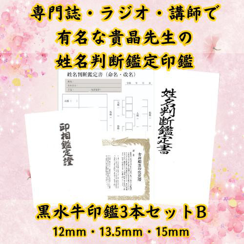 【貴晶式 姓名判断鑑定印鑑 黒水牛 3本セット B】 12mm 13.5mm 15mm