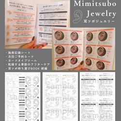 耳ツボジュエリー | 耳ツボ辞典 | 112通り＋αの症状 | B6サイズ