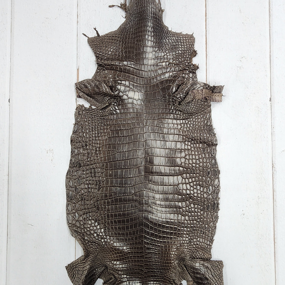 ワニ革 クロコ 半艶マット  ニコチン No.C009327 1枚目の画像