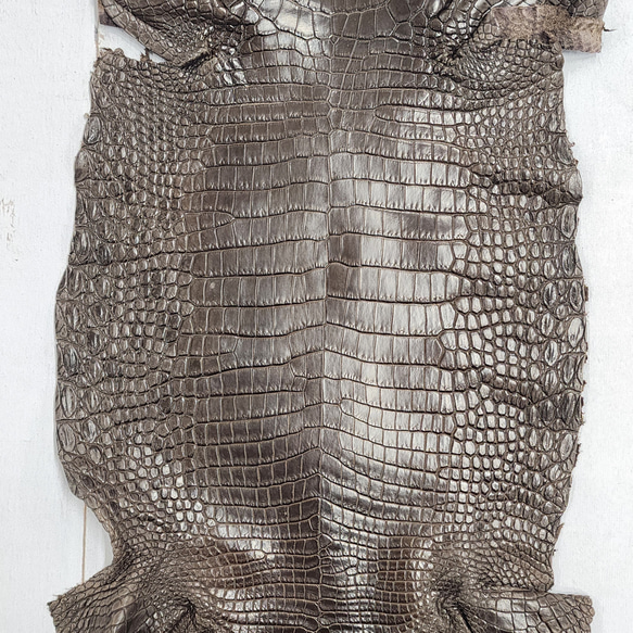 ワニ革 クロコ 半艶マット  ニコチン No.C009327 4枚目の画像