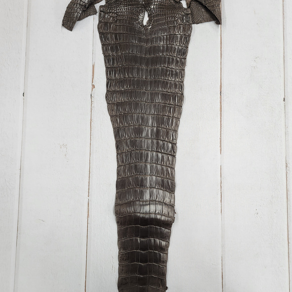 ワニ革 クロコ 半艶マット  ニコチン No.C009327 5枚目の画像