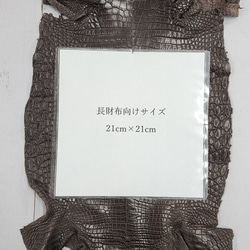 ワニ革 クロコ 半艶マット  ニコチン No.C009327 8枚目の画像