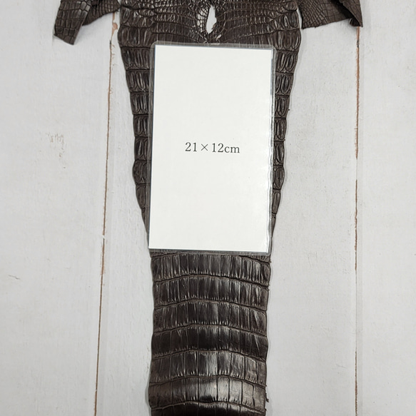 ワニ革 クロコ 半艶マット  ニコチン No.C009327 9枚目の画像