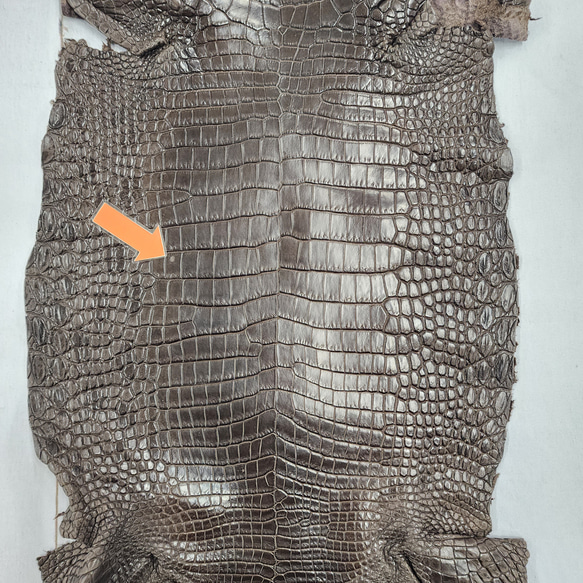 ワニ革 クロコ 半艶マット  ニコチン No.C009327 10枚目の画像