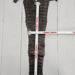 ワニ革 クロコ 半艶マット  ニコチン No.C009327 7枚目の画像