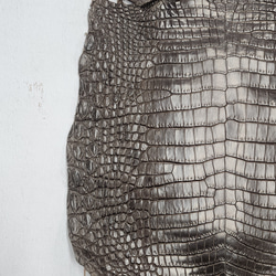 ワニ革 クロコ 半艶マット  ニコチン No.C009327 12枚目の画像