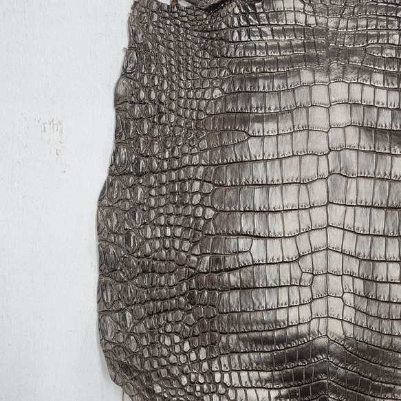 ワニ革 クロコ 半艶マット  ニコチン No.C009327 12枚目の画像