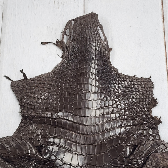 ワニ革 クロコ 半艶マット  ニコチン No.C009327 3枚目の画像