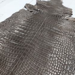 ワニ革 クロコ 半艶マット  ニコチン No.C009327 14枚目の画像