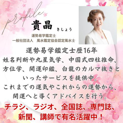 【姓名判断鑑定印鑑 黒水牛 蒔絵 龍 2本セット】 13.5mm 15mm