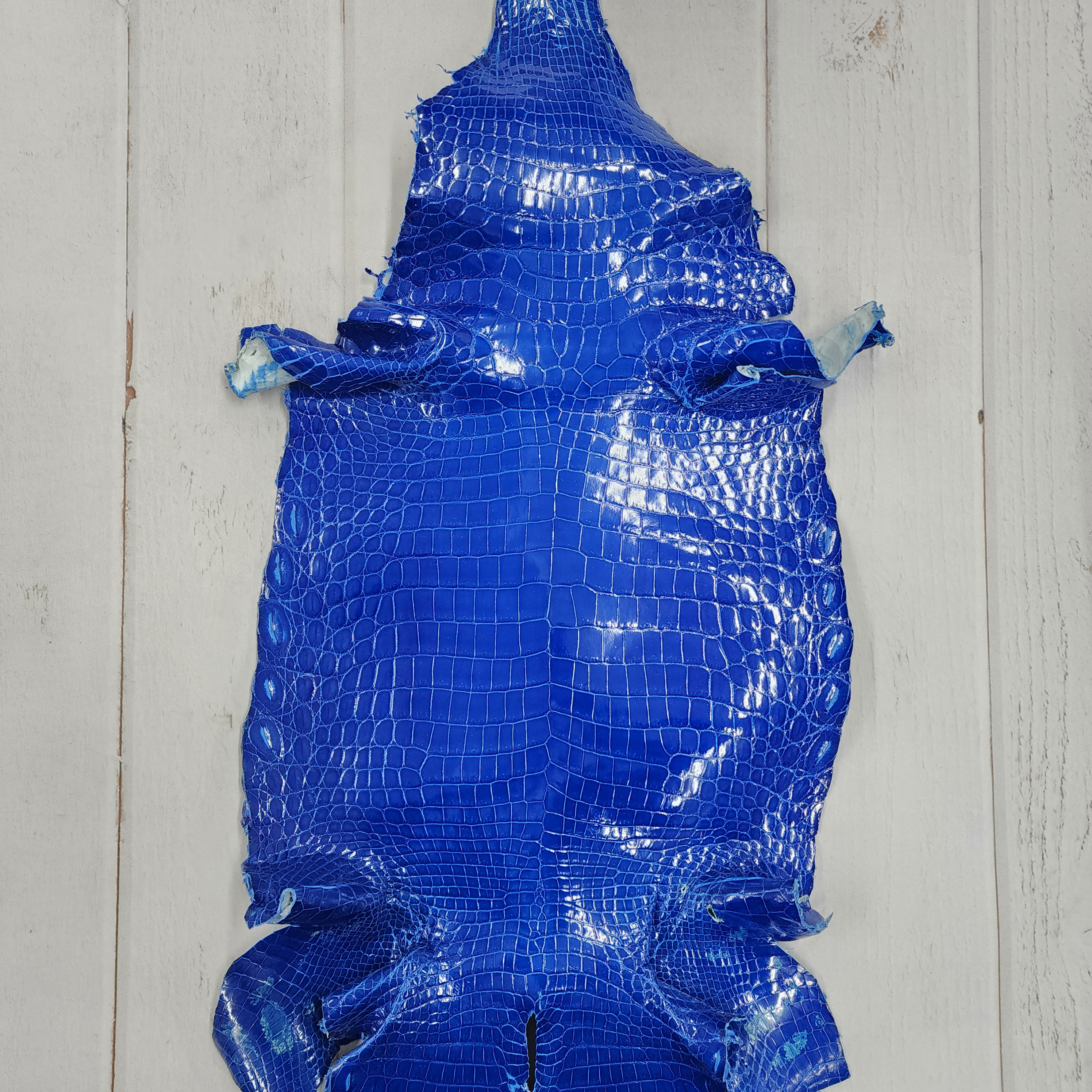 ワニ革 クロコ グレージング仕上げ  ロイヤルブルー No.C007744