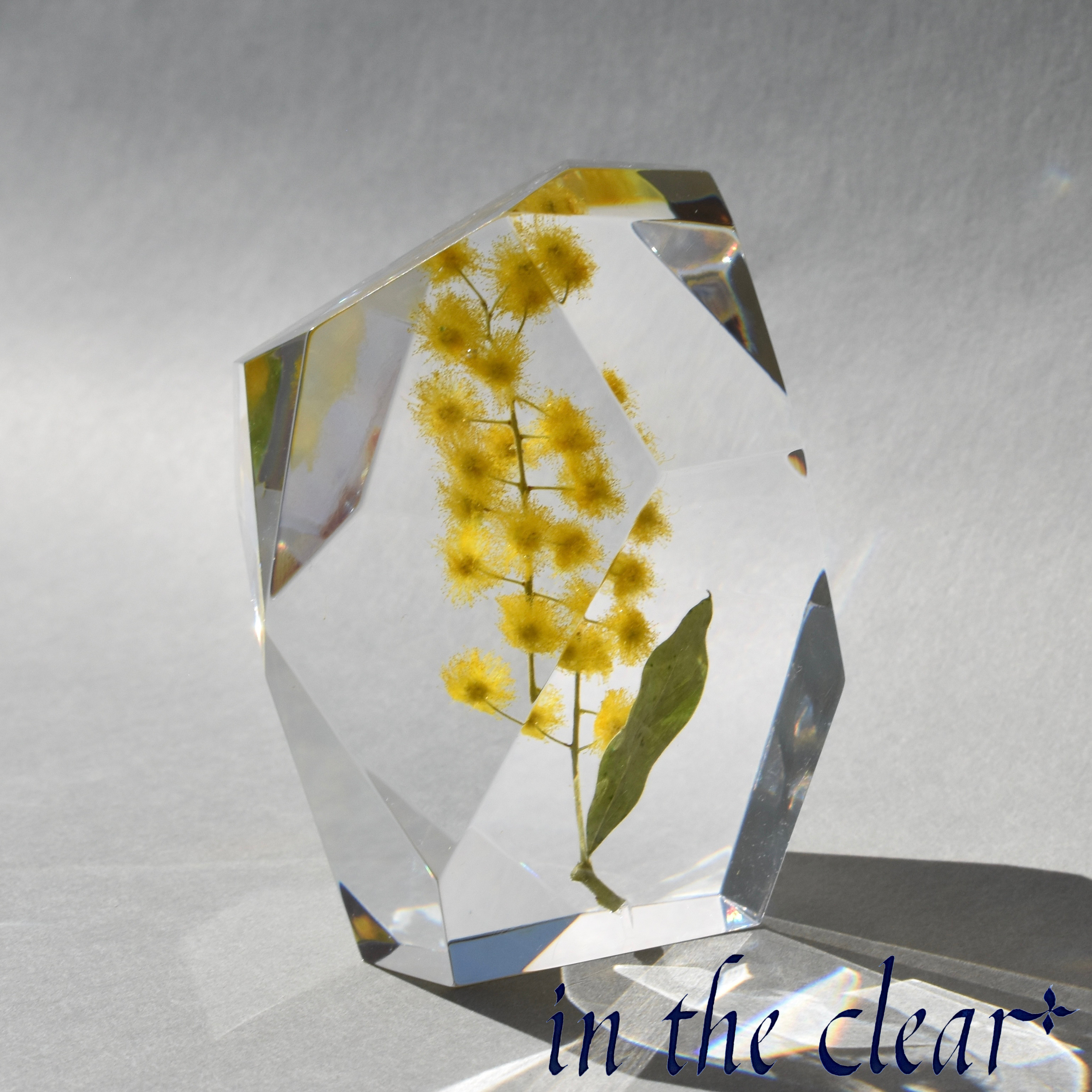 植物標本　ミモザ　黄色　レジン　鉱石型