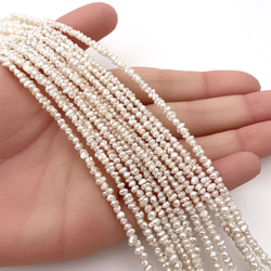 淡水パール 真珠 ケシ バロック フラット ボタン 2mm 3.5~4.5mm 極小粒 37~38cm tp0037 2枚目の画像