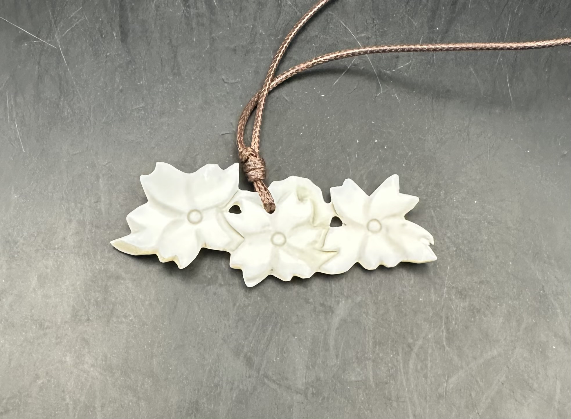 2026.2.13桜舞　コンク貝