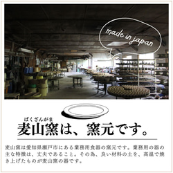 《数量限定・特別価格》丈夫で扱いやすいアイボリーのティーポット（約500cc / 茶こし付き） 9枚目の画像