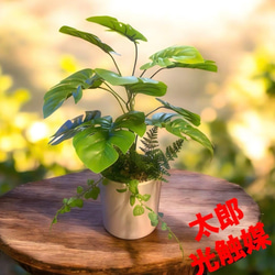 光触媒 人工観葉植物 ウォールグリーン フェイクグリーン ガジュマル