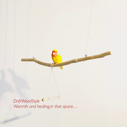 流木止まり木  70ｃｍのシンプルな天然流木の小鳥の止まり木 吊り下げタイプ インコ 鳥 ブランコ 自然木 N6 1枚目の画像