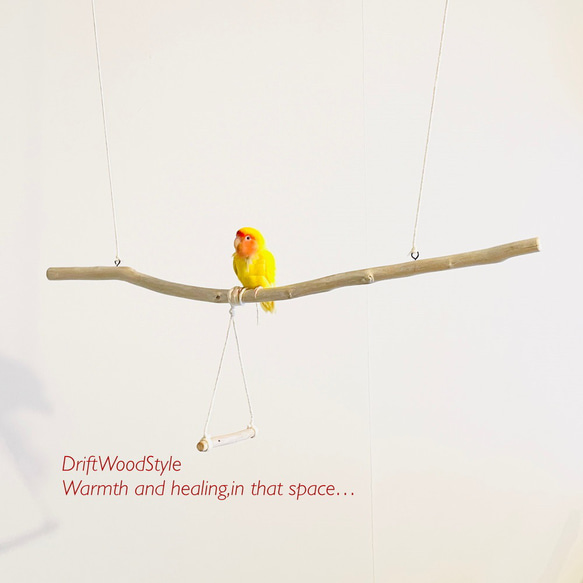 流木止まり木  70ｃｍのシンプルな天然流木の小鳥の止まり木 吊り下げタイプ インコ 鳥 ブランコ 自然木 N6 2枚目の画像