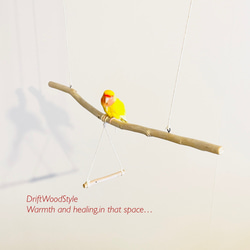 流木止まり木  70ｃｍのシンプルな天然流木の小鳥の止まり木 吊り下げタイプ インコ 鳥 ブランコ 自然木 N6 4枚目の画像