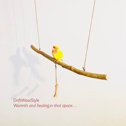 流木止まり木  70ｃｍのシンプルな天然流木の小鳥の止まり木 吊り下げタイプ インコ 鳥 ブランコ 自然木 N7 4枚目の画像