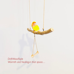 流木止まり木  70ｃｍのシンプルな天然流木の小鳥の止まり木 吊り下げタイプ インコ 鳥 ブランコ 自然木 N7 3枚目の画像