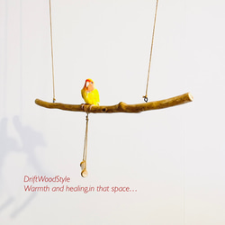 流木止まり木  70ｃｍのシンプルな天然流木の小鳥の止まり木 吊り下げタイプ インコ 鳥 ブランコ 自然木 N7 1枚目の画像