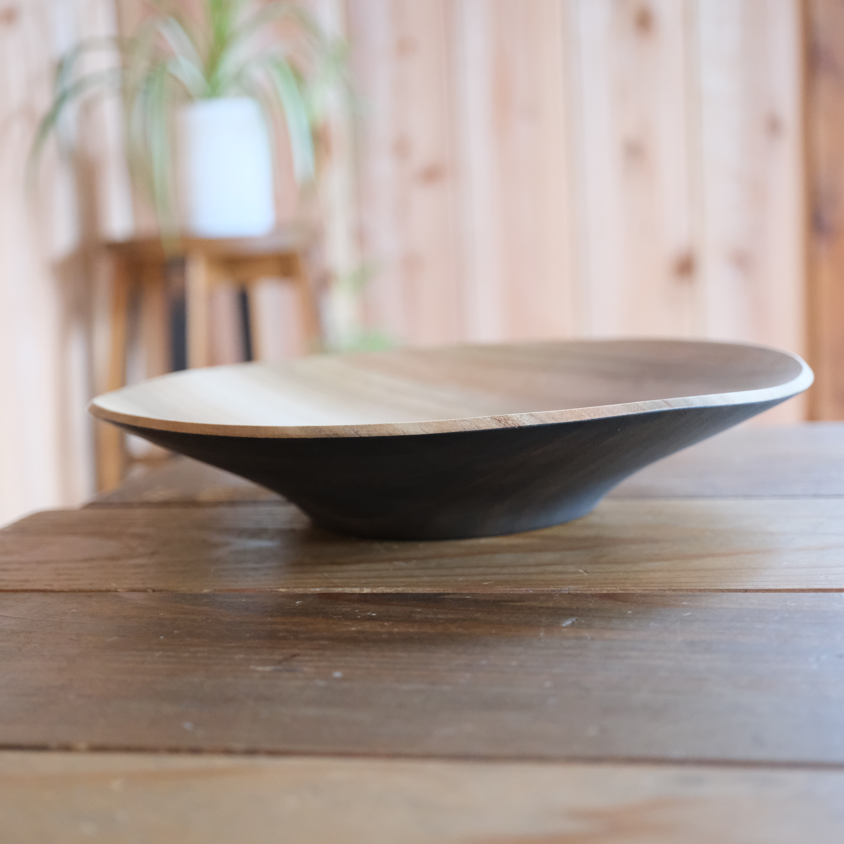 クスノキの浅ボウル〈26.5〉ガラスコーティング【v1940】