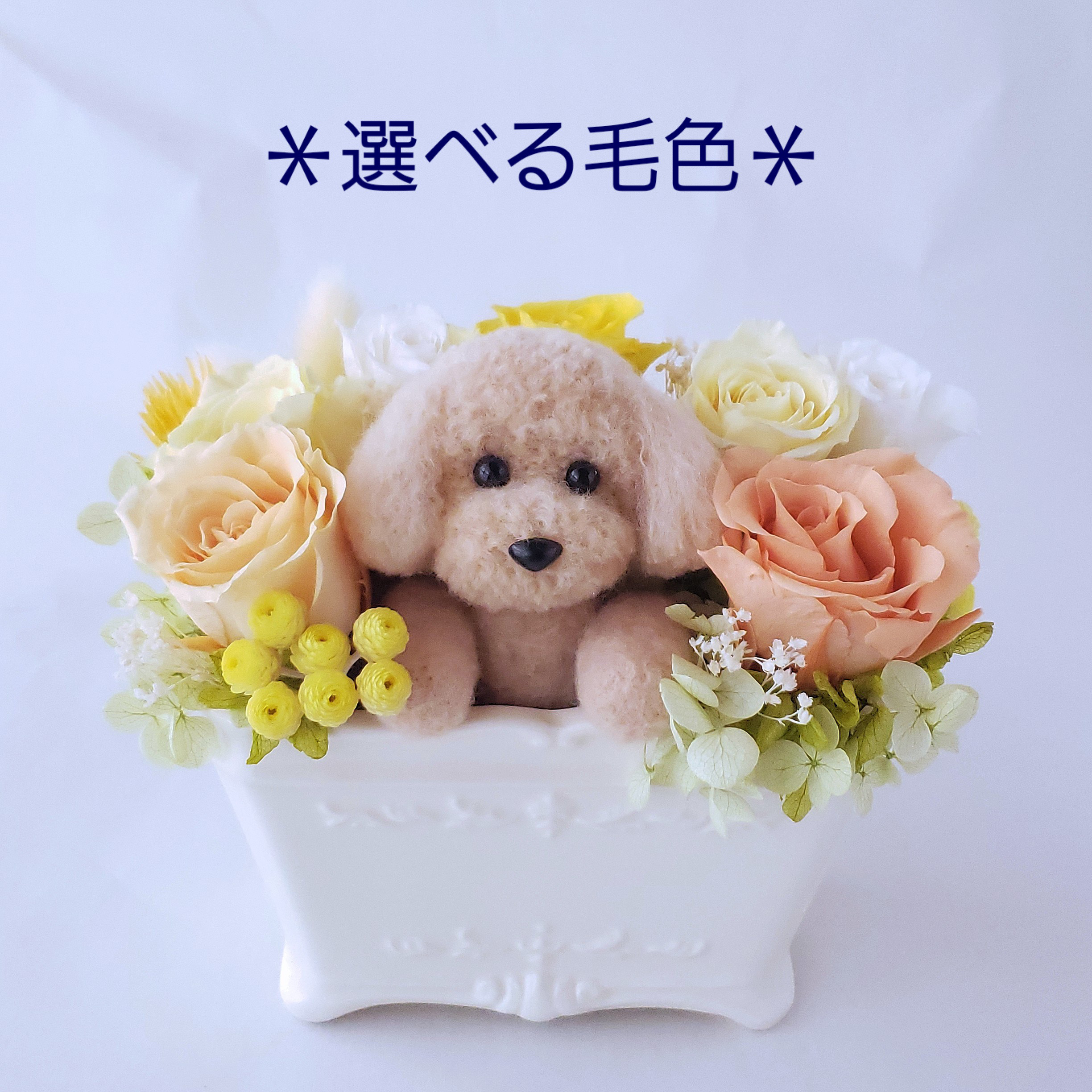 やさしいオレンジ色プリザーブドフラワーとプードル《選べる毛色》