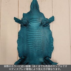 ワニ革 クレイフィニッシュ  ブルーラグーン　No.C009124 2枚目の画像