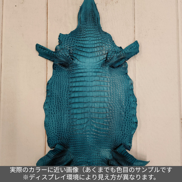 ワニ革 クレイフィニッシュ  ブルーラグーン　No.C009124 2枚目の画像