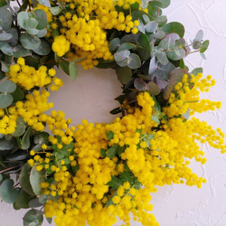 早割クリスマス＊お洒落なポインセチアのクリスマスリース＊直径27