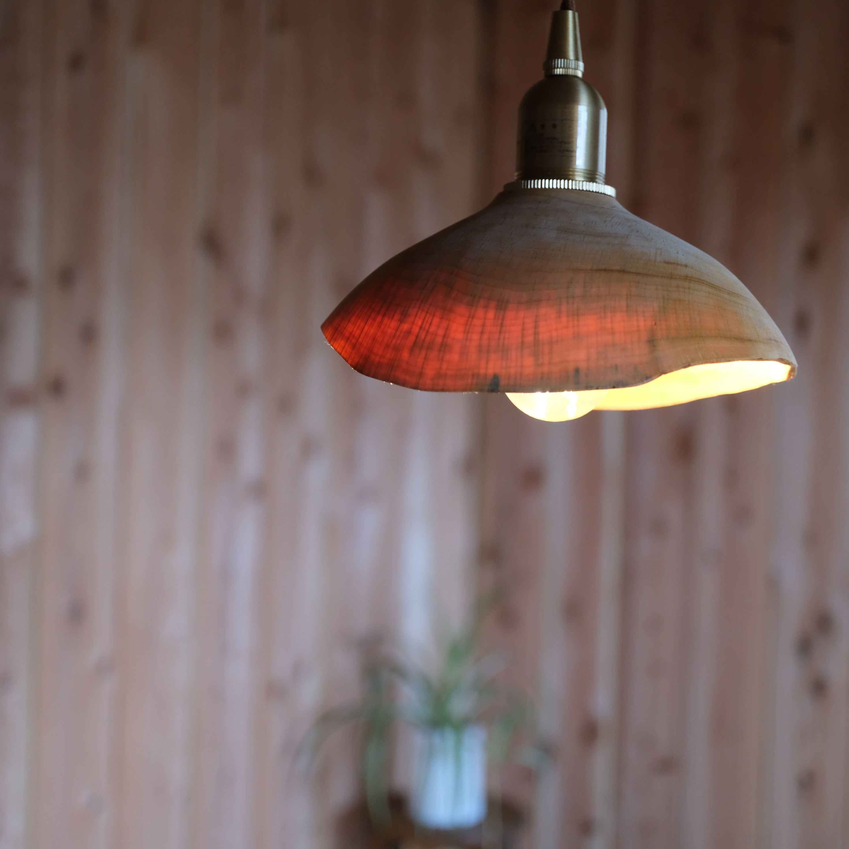 ハンノキのランプシェード〈ナチュラルエッジ〉【s1007】